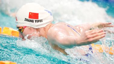 期待这些新 期待这些新