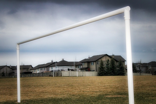 会的考验 会的考验