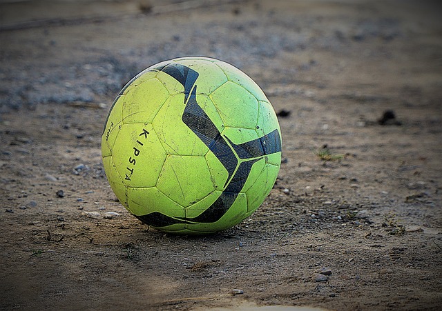 维埃拉成为 维埃拉成为