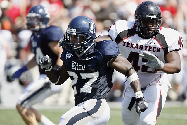 的带领下 的带领下