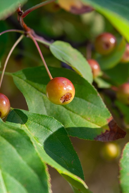 并不仅仅是 并不仅仅是
