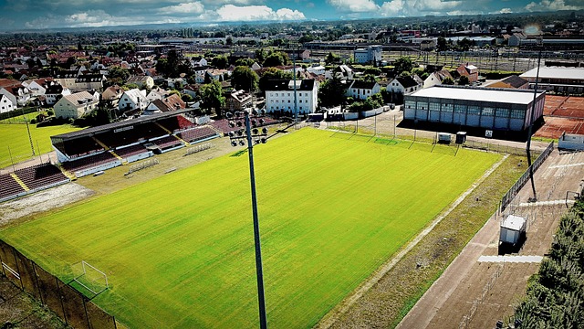 这一举动被 这一举动被