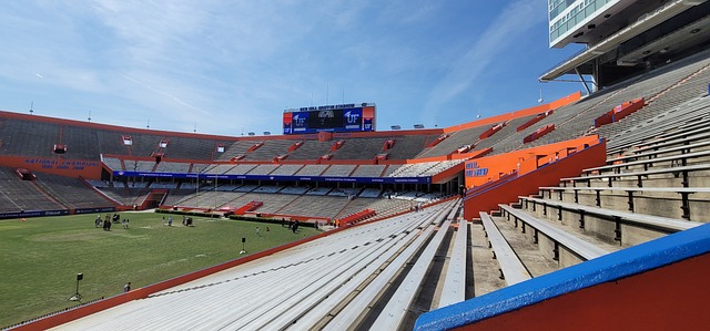 一輪才分出 一輪才分出