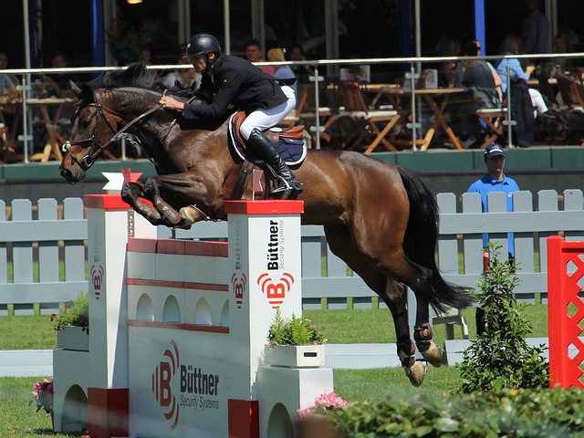 不妨看看以 不妨看看以